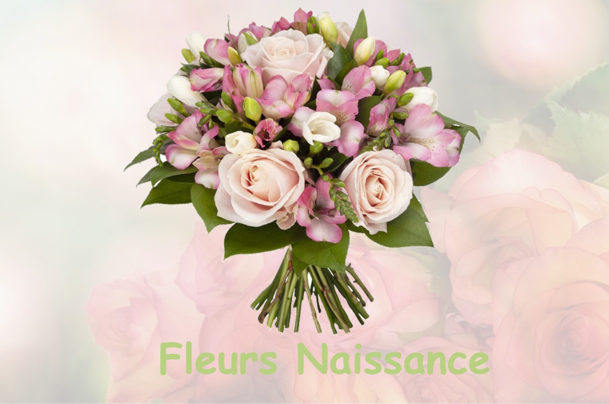 fleurs naissance SAINT-MAURICE-LA-FOUGEREUSE